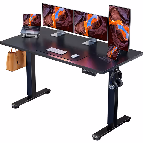 ErGear Electric Standing Desk (55x28, Black)