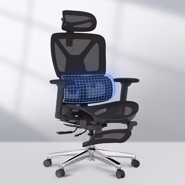 FLEXISPOT ErgoX Ergonomic Office Chair